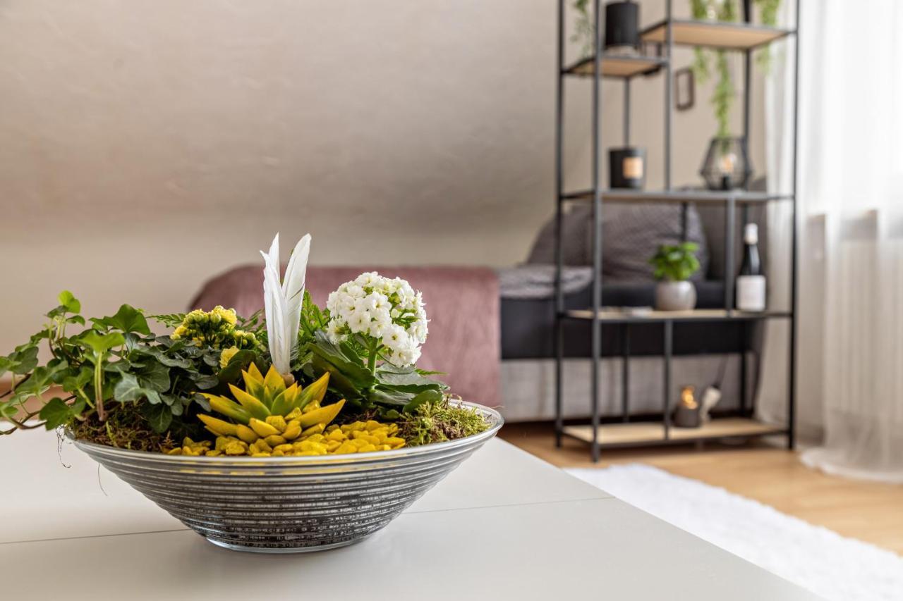 Ferienappartement Sonnenhof Triberg im Schwarzwald Extérieur photo