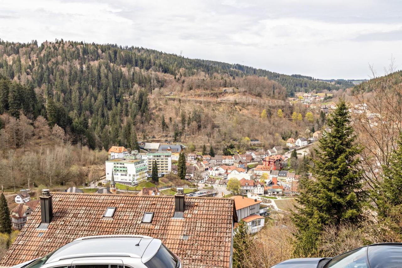 Ferienappartement Sonnenhof Triberg im Schwarzwald Extérieur photo