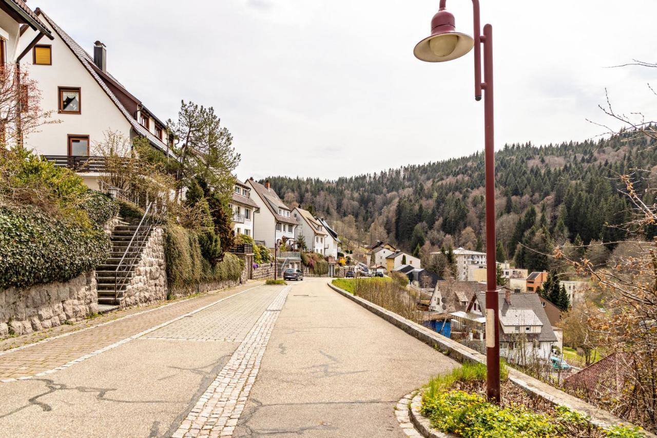 Ferienappartement Sonnenhof Triberg im Schwarzwald Extérieur photo